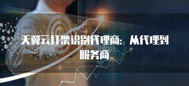 天翼云打架识别代理商：从代理到服务商