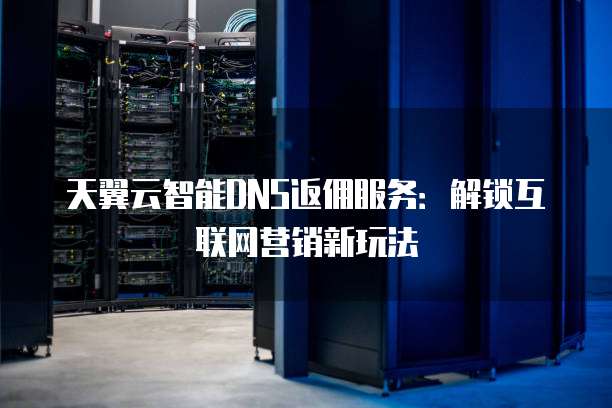 天翼云智能DNS返佣服务:解锁互联网营销新玩法