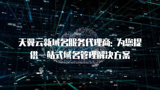 天翼云新域名服务代理商: 为您提供一站式域名管理解决方案