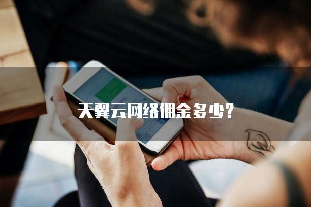 天翼云网络佣金多少？
