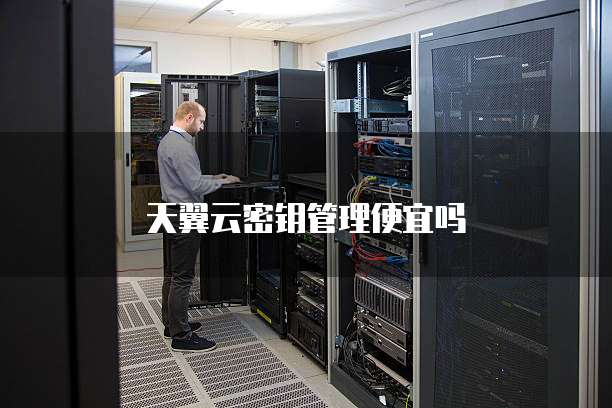 天翼云密钥管理便宜吗