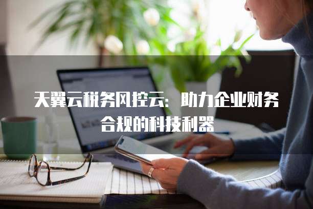 天翼云税务风控云:助力企业财务合规的科技利器