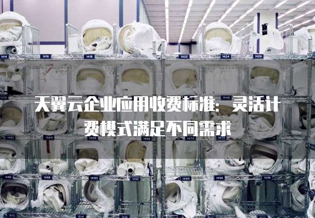 天翼云企业应用收费标准：灵活计费模式满足不同需求