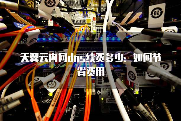 天翼云内网dns续费多少：如何节省费用