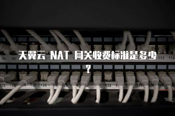 天翼云 NAT 网关收费标准是多少?