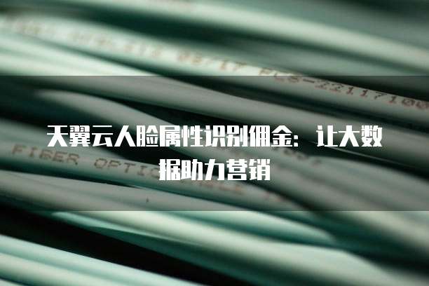 天翼云人脸属性识别佣金:让大数据助力营销