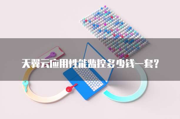 天翼云应用性能监控多少钱一套？