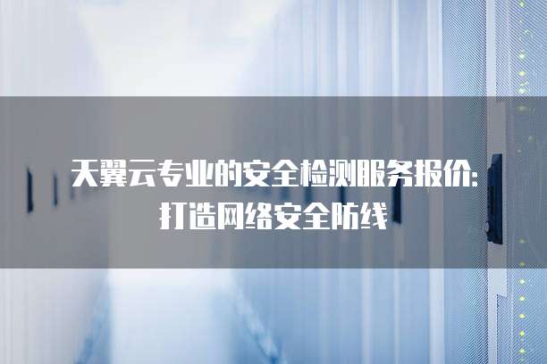 天翼云专业的安全检测服务报价：打造网络安全防线