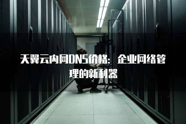 天翼云内网DNS价格:企业网络管理的新利器