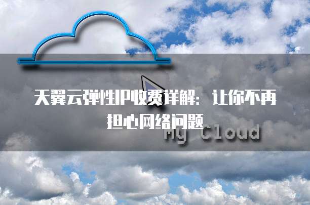 天翼云弹性IP收费详解：让你不再担心网络问题