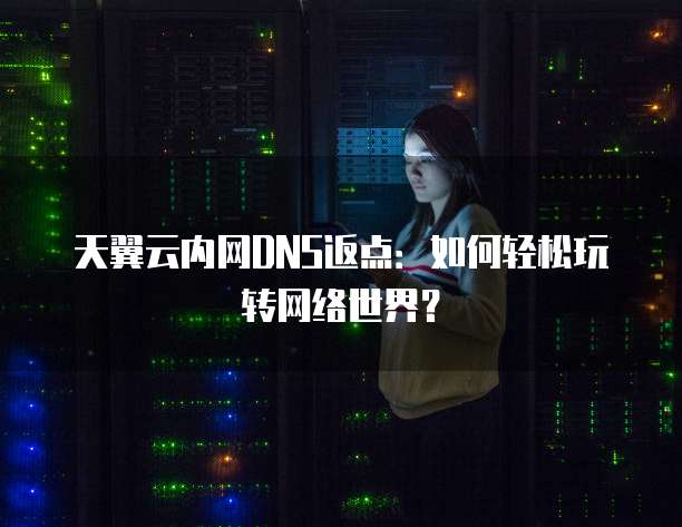 天翼云内网DNS返点:如何轻松玩转网络世界?