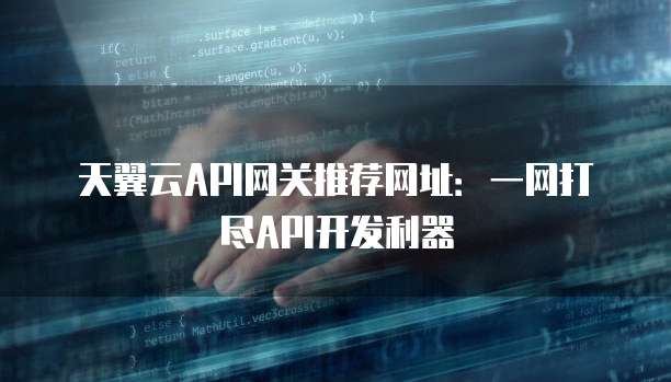 天翼云API网关推荐网址:一网打尽API开发利器