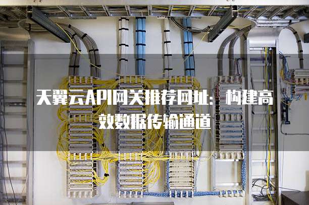 天翼云API网关推荐网址:构建高效数据传输通道