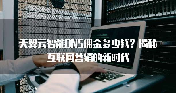 天翼云智能DNS佣金多少钱?揭秘互联网营销的新时代