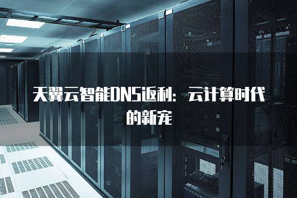天翼云智能DNS返利:云计算时代的新宠