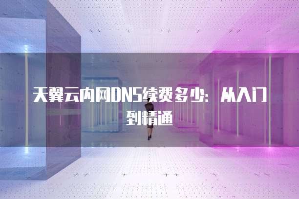 天翼云内网DNS续费多少:从入门到精通