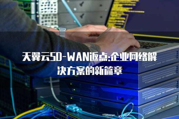 天翼云SD-WAN返点:企业网络解决方案的新篇章