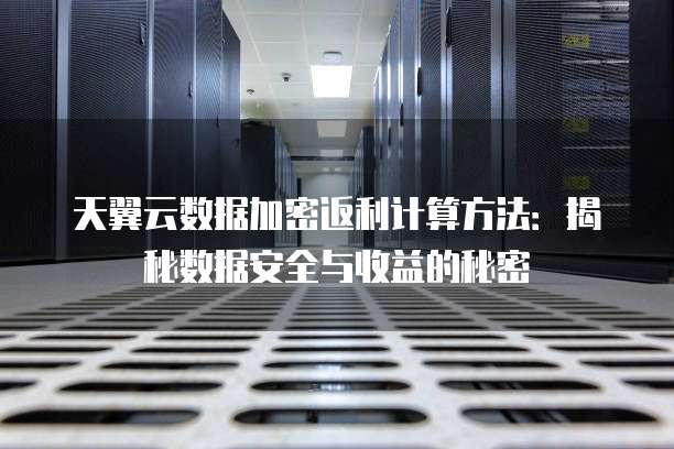天翼云数据加密返利计算方法:揭秘数据安全与收益的秘密