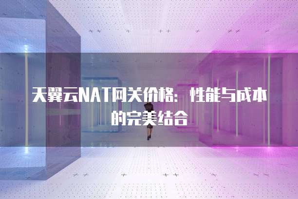 天翼云NAT网关价格:性能与成本的完美结合