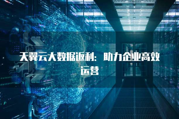 天翼云大数据返利:助力企业高效运营
