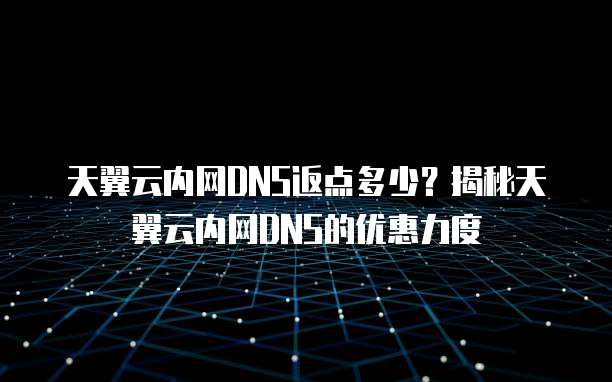 天翼云内网DNS返点多少?揭秘天翼云内网DNS的优惠力度