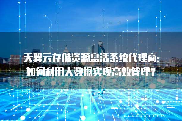 天翼云存储资源盘活系统代理商:如何利用大数据实现高效管理?