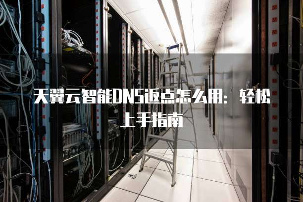天翼云智能DNS返点怎么用：轻松上手指南