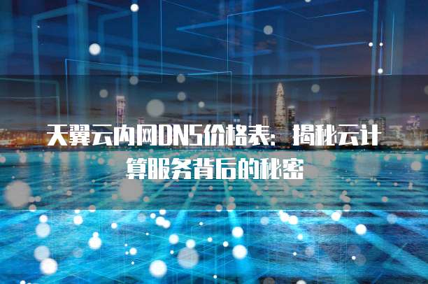 天翼云内网DNS价格表:揭秘云计算服务背后的秘密