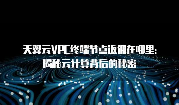 天翼云VPC终端节点返佣在哪里:揭秘云计算背后的秘密