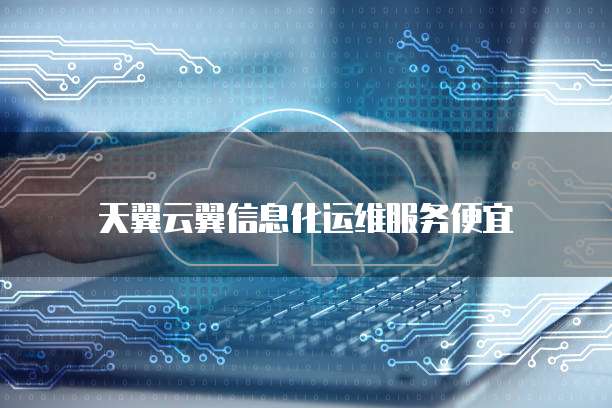天翼云翼信息化运维服务便宜