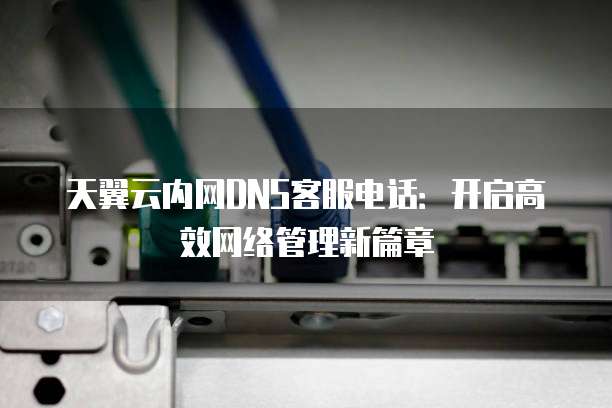 天翼云内网DNS客服电话：开启高效网络管理新篇章