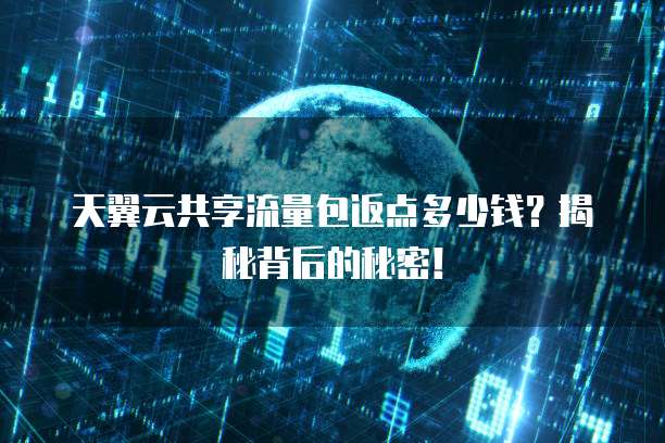 天翼云共享流量包返点多少钱?揭秘背后的秘密!