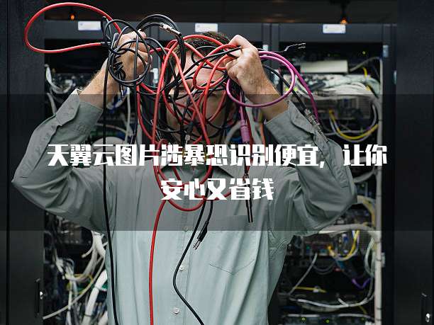 天翼云图片涉暴恐识别便宜,让你安心又省钱