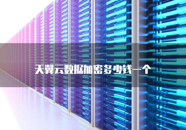 天翼云数据加密多少钱一个