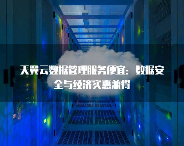 天翼云数据管理服务便宜:数据安全与经济实惠兼得