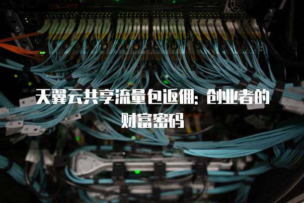天翼云共享流量包返佣: 创业者的财富密码
