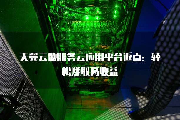 天翼云微服务云应用平台返点:轻松赚取高收益