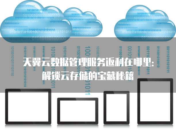 天翼云数据管理服务返利在哪里:解锁云存储的宝藏秘籍
