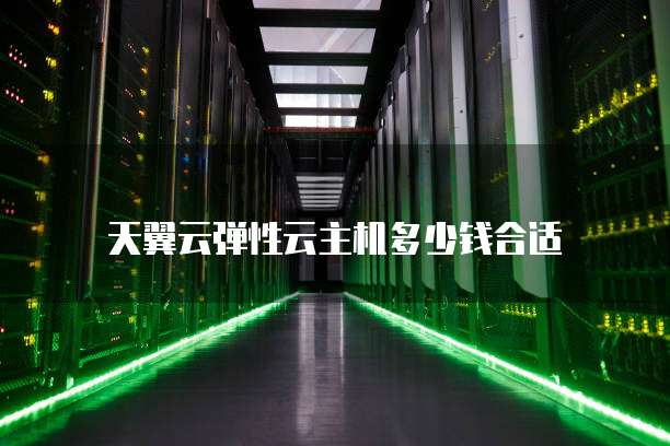 天翼云弹性云主机多少钱合适
