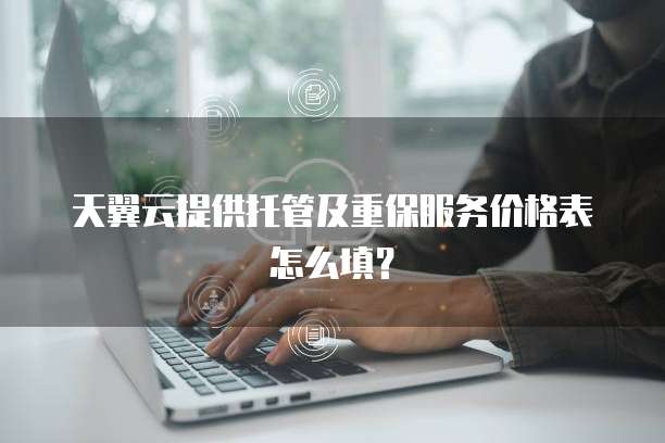 天翼云提供托管及重保服务价格表怎么填?