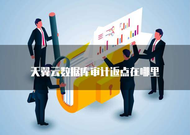 天翼云数据库审计返点在哪里
