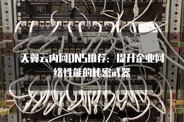 天翼云内网DNS推荐:提升企业网络性能的秘密武器