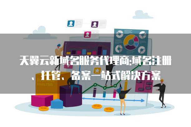 天翼云新域名服务代理商:域名注册、托管、备案一站式解决方案