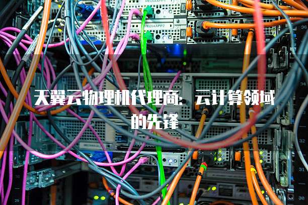 天翼云物理机代理商:云计算领域的先锋