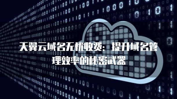 天翼云域名无忧收费:提升域名管理效率的秘密武器