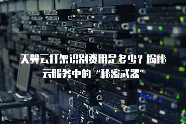 天翼云打架识别费用是多少?揭秘云服务中的“秘密武器”