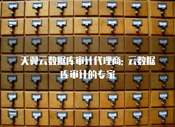 天翼云数据库审计代理商: 云数据库审计的专家
