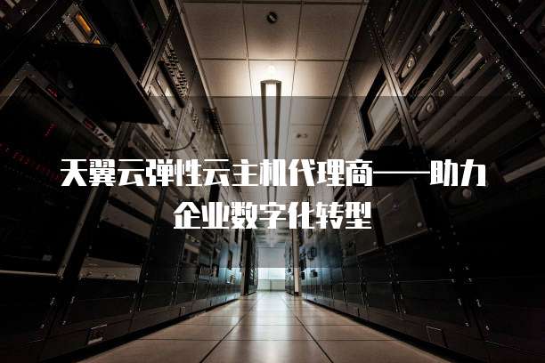天翼云弹性云主机代理商——助力企业数字化转型