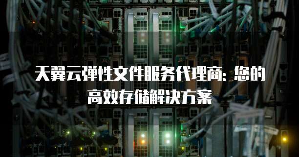 天翼云弹性文件服务代理商: 您的高效存储解决方案