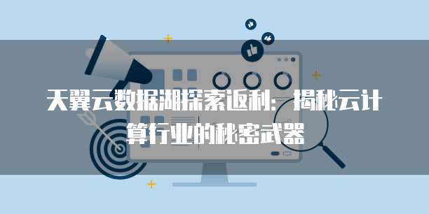 天翼云数据湖探索返利：揭秘云计算行业的秘密武器